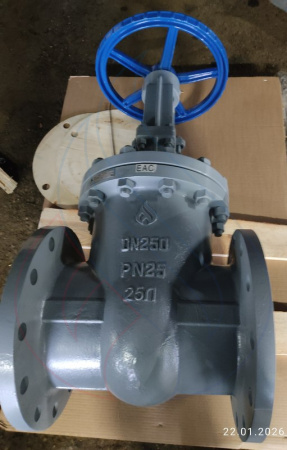 31с99нж 250-25