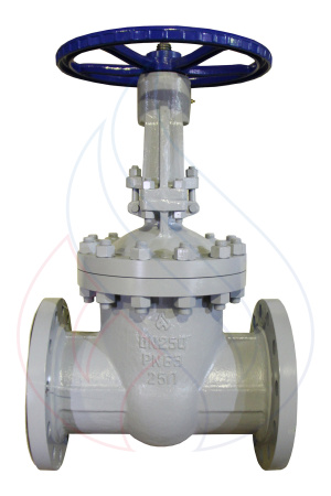 30с76нж  Ду250 Ру63