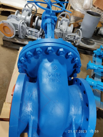 30лс599нж 300-25