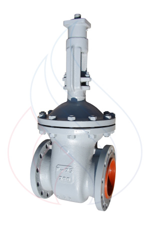 30с999нж Ду200 Ру25