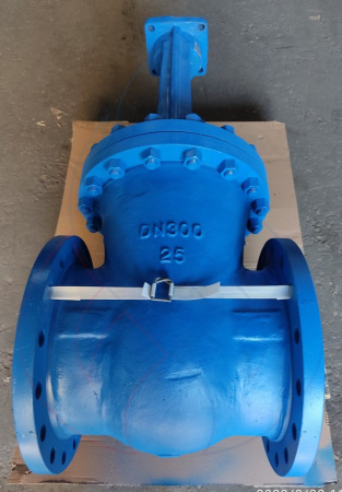 30лс999нж 300-25