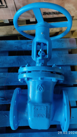 30нж64нж 100-25